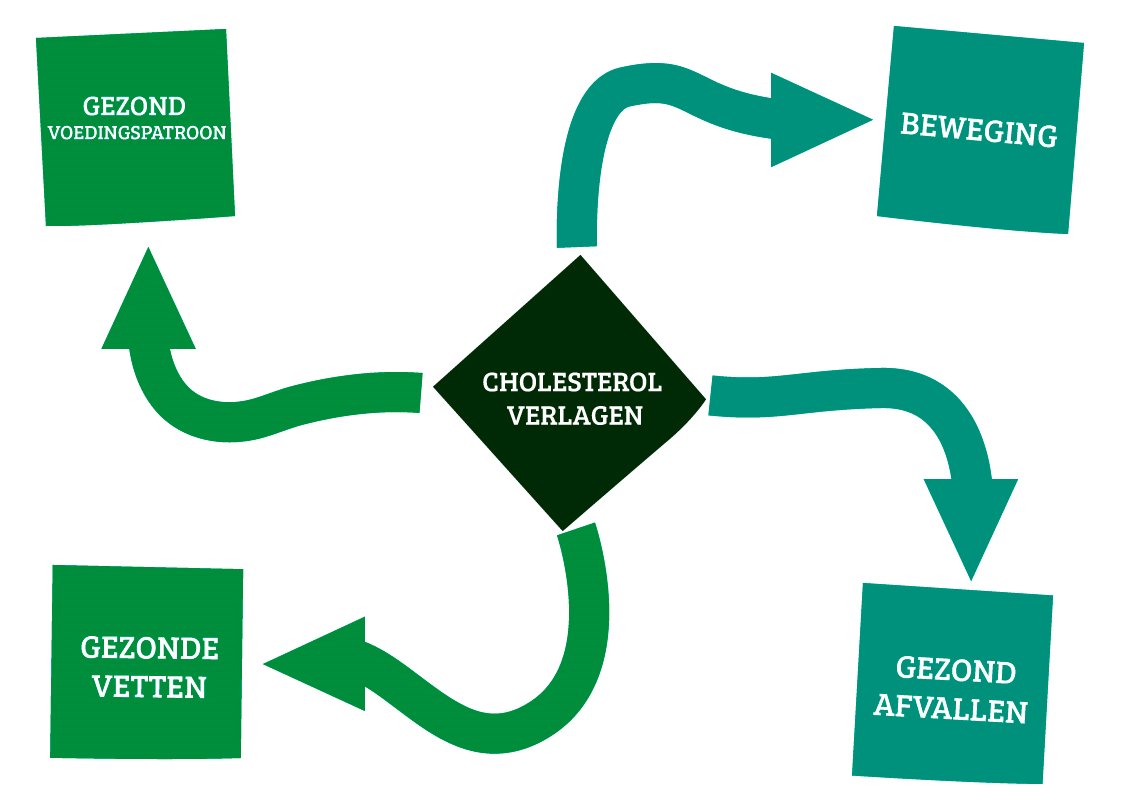 cholesterol verlagen